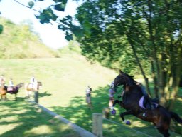 dsc06117_web